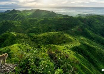 Wisata Outdoor Gunung Budheg: Pesona Alam dan Pendakian Menantang di Tulungagung