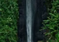 Menelusuri Keindahan Curug Sirawe: Permata di Tengah Hutan Indonesia