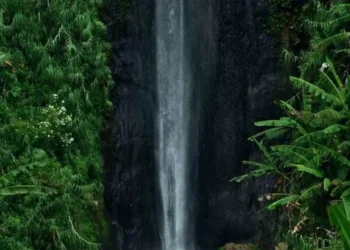 Menelusuri Keindahan Curug Sirawe: Permata di Tengah Hutan Indonesia