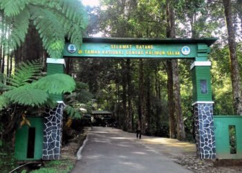 Menjelajahi Keindahan Taman Nasional Gunung Halimun Salak